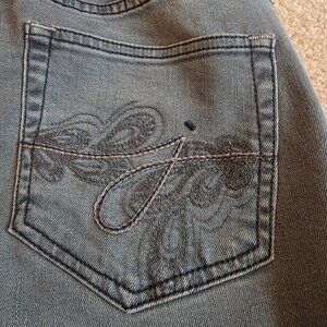 Jag Mid-Rise Skinny jeans, size 8 (women's)